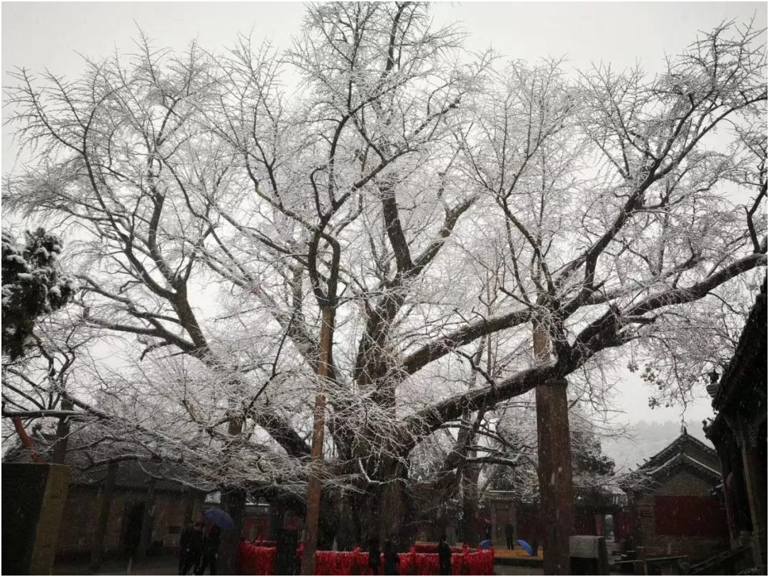 1547450000123070.png 圖2.png