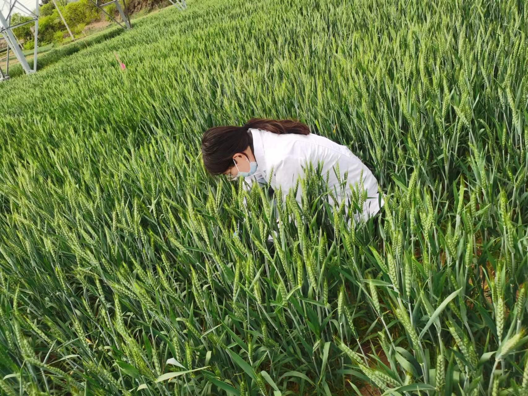 1652839373202716.jpg 許欣4.jpg