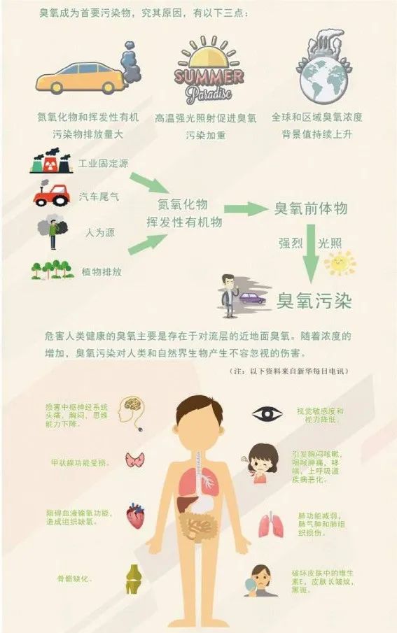 1654140162979007.jpg 640.jpg