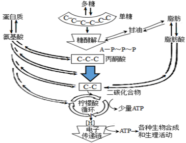 1658973803144398.png 3.png